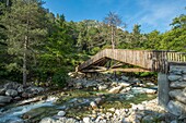 France, Haute Corse, Corte, Restonica Valley, Regional Nature Park, the Restonica torrent towards the botanical trail bridge