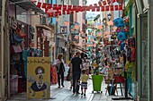 France, Aveyron, Millau, Droite street, goes and comes from walkers in a shopping street