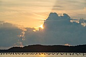 Frankreich, Haute Corse, Östliche Ebene, Aleria, Austernzucht im Teich von Diane, Sonnenaufgang hinter Wolken auf dem Austernpark