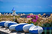 France, Finistere, Ponant islands, Regional Natural Park of Armorica, Iroise Sea, Ouessant island, Biosphere Reserve (UNESCO), Lampaul, Ouessantin garden