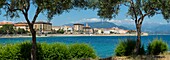 Frankreich, Corse du Sud, Ajaccio, Panoramablick, Olivenbäume an der Strandpromenade und Boulevard Pascal Rossini