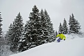 Frankreich, Haute Savoie, Massiv des Mont Blanc, 1 Skifahrer beim Skifahren abseits der Piste auf den Pisten von Contamines Montjoie