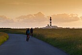 France, Finistere, Ponant Islands, Armorica Regional Nature Park, Iroise Sea, Ouessant Island, Biosphere Reserve (UNESCO), Hikers on bicycles towards Pointe de Pern and Créac'h Lighthouse