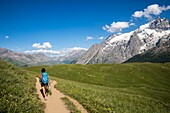 Frankreich, Hautes Alpes, Nationalpark Ecrins, die Meije von der Emparis-Hochebene aus gesehen, Wanderer auf dem GR 50 GR 54