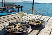 Frankreich, Herault, Loupian, Teller mit Austern und ein Glas Weißwein mit der Lagune von Thau im Hintergrund