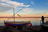 France, Aude, Narbonne, Corbieres, Gruissan, Les Salins (salt marsh) at La Cambuze du Saunier