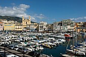 France, Haute Corse, Bastia, the old port, the pleasure boats and the old town with the church Saint Jean Baptiste