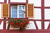 Frankreich, Haut Rhin, Route des Vins d'Alsace, Eguisheim, ausgezeichnet als Les Plus Beaux Villages de France (eines der schönsten Dörfer Frankreichs), Fassade eines traditionellen Hauses