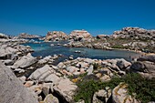 Frankreich, Corse du Sud, Bonifacio, Lavezzi-Inseln, Naturschutzgebiet der Mündung von Bonifacio, polierte Granitfelsen tragen zum Charme des Ortes bei