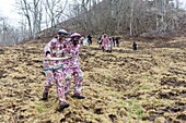 Frankreich, Pyrenees Atlantiques, Baskisches Land, Sainte Engrace, Die Souletine Masquerade (Xiberoko Maskarada) ist ein umherziehender Karnevalsritus, der von Dorf zu Dorf zieht