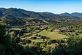 France, Corse du Sud, Alta Rocca, the fertile plain of the Rizzanese seen from Sainte Lucie of Tallano