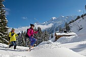 France, Haute Savoie, Massif of the Mont Blanc, the Contamines Montjoie, trails round in rackets with snow from the tracks of the Stage towards the chalet of Joux