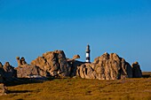 France, Finistere, Ponant Islands, Armorica Regional Nature Park, Iroise Sea, Ouessant Island, Biosphere Reserve (UNESCO), Créac'h Lighthouse behind the Rocks