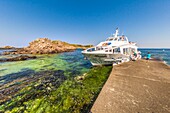 France, Cotes d'Armor, Perros Guirec, pier of the island aux Moines, departure for an excursion to the natural reserve of Sept Îles