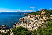 Frankreich, Corse du Sud, Campomoro, Tizzano, Küstenweg im Naturschutzgebiet Senetosa, die Küste und der genuesische Turm von Campomoro