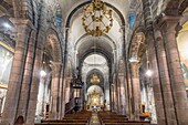 France, Cantal, Mauriac, Notre Dame des Miracles church, the nave