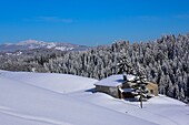 France, Jura, GTJ, great crossing of the Jura on snowshoes, crossing majestic landscapes laden with snow between Lajoux and Molunes