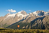 France, Hautes Alpes, Ecrins National Park, in the center the Grand Pic de La Meije (3983m), on the right the Rake (3809m) seen from the plateau of Emparis