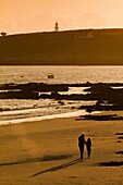 France, Finistere, Ponant islands, Armorica Regional Nature Park, Iroise Sea, Ouessant island, Biosphere Reserve (UNESCO), Walkers on Prat beach in the evening and Creac'h lighthouse in the background