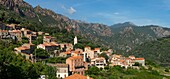 France, Corse du Sud, D 84, regional natural park, Ota, panoramic view of the village