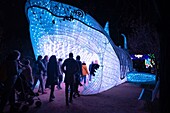 Frankreich, Paris, Jardin des Plantes, Erstes Lichterfest, Spezies im Prozess der Erleuchtung