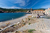 France, Eastern Pyrenees, Collioure, Royal Castle and Church of Our Lady of the Angels