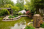 France, Yvelines, Saint Remy l'Honore, Yili garden, first chinese garden in France