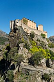 France, Haute Corse, Corte, the citadel seen from the belvedere
