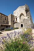 France, Alpes de Haute Provence, Simiane la Rotonde, castle and its Rotonde of 12th century, the courtyard