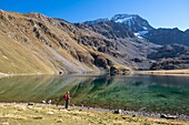 France, Isere, Ecrins National Park, Veneon valley, Muzelle lake on the GR 54 hiking trail, Muzelle glacier in the background