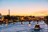 France, Paris, Seine river banks listed as World Heritage by UNESCO, a fly boat, the Arts footbridge and the Eiffel Tower