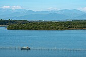 Frankreich, Haute Corse, östliche Ebene, Aleria, Tallone, Spaziergang im Naturschutzgebiet von Terrenzana am Rande des Teiches von Diane, ein Fischer mit dem Fleck auf seinem Boot montiert er die festen Netze am Eingang des Teiches auf der Seeseite