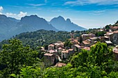 France, Corse du Sud, D 84, regional natural park, the village of Evisa and the Capu d'Orto