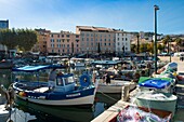 France, Corse du Sud, Ajaccio, many wooden fishing boats brighten up the port Tino Rossi in front of the facades of the old town