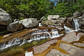 France, Corse du Sud, D 84, Evisa, regional natural park, the enchanting site of the waterfalls of Aitone on the eponymous torrent