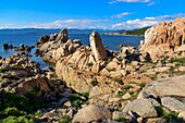 France, Corse du Sud, Campomoro, Tizzano, coastal path in the Senetosa reserve, hiking on the coastal path of the reserve, the sight on these granite chaos is striking at sunset