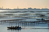 France, Herault, Bouzigues, oyster tables on the lagoon of Thau with the commercial harbour of Sete in the background