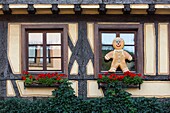 France, Haut Rhin, Route des Vins d'Alsace, Kaysersberg labelled Les Plus Beaux Villages de France (One of the Most Beautiful Villages of France), facade of a traditional house and Manala standing by a window