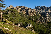 Frankreich, Corse du Sud, Alta Rocca, Bavella-Pass und die Bavella-Nadeln am frühen Morgen