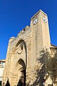 Frankreich, Gard, Regionaler Naturpark der Camargue, Aigues Mortes, der Konstanzer Turm, das Gewölbe hat zwölf Viertel