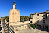 Frankreich, Gard, Regionaler Naturpark der Camargue, Aigues Mortes, der Konstanzer Turm und die Stadtmauern
