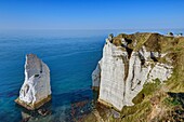 France, Seine Maritime, Etretat, the Aval cliffs and the Aiguille (Needle)