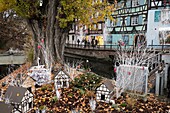 Frankreich, Haut Rhin, Colmar, Petite Venise, quai de la Poissonnerie, Dekorationen während des Weihnachtsmarktes