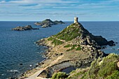 Frankreich, Corse du Sud, Ajaccio, die Sanguinair-Inseln von der Küste aus gesehen, der Turm von Parata