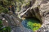 Frankreich, Corse du Sud, Bocognano, die Schlucht des Richiusa, Sprung in den Becken Smaragd Farbe