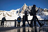 France, Haute Savoie, Mont Blanc valley, Chamonix Mont Blanc, Montenvers railway station