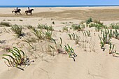 Frankreich, Bouches du Rhone, Regionaler Naturpark der Camargue, Arles, Strand von Piémanson