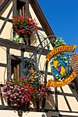 Frankreich, Haut Rhin, Route des Vins d'Alsace, Eguisheim mit der Bezeichnung Les Plus Beaux Villages de France (Eines der schönsten Dörfer Frankreichs), Fassade eines traditionellen Hauses und Ladenschild eines Restaurants