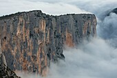 France, Alpes-de-Haute-Provence, Verdon Regional Nature Park, Grand Canyon du Verdon, cliffs seen from the Pas de la Bau belvedere