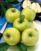 Granny Smith Apples